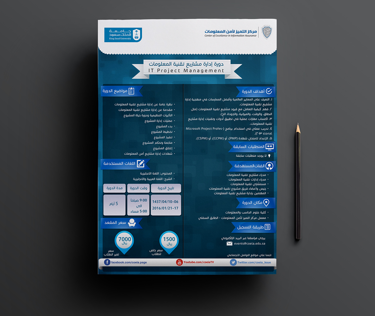 IT Project Management Brochure